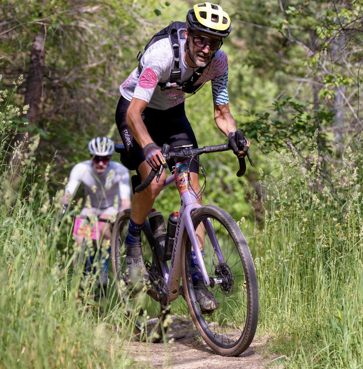 Winding gravel road through pine forest on Rowena
